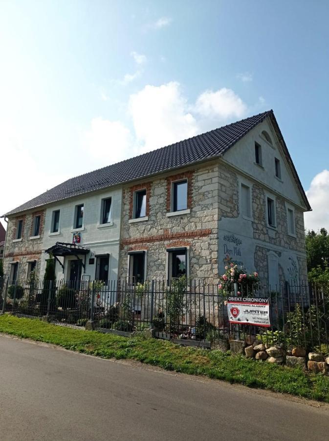 Villa Dom Mili à Henrykow Lubanski Extérieur photo