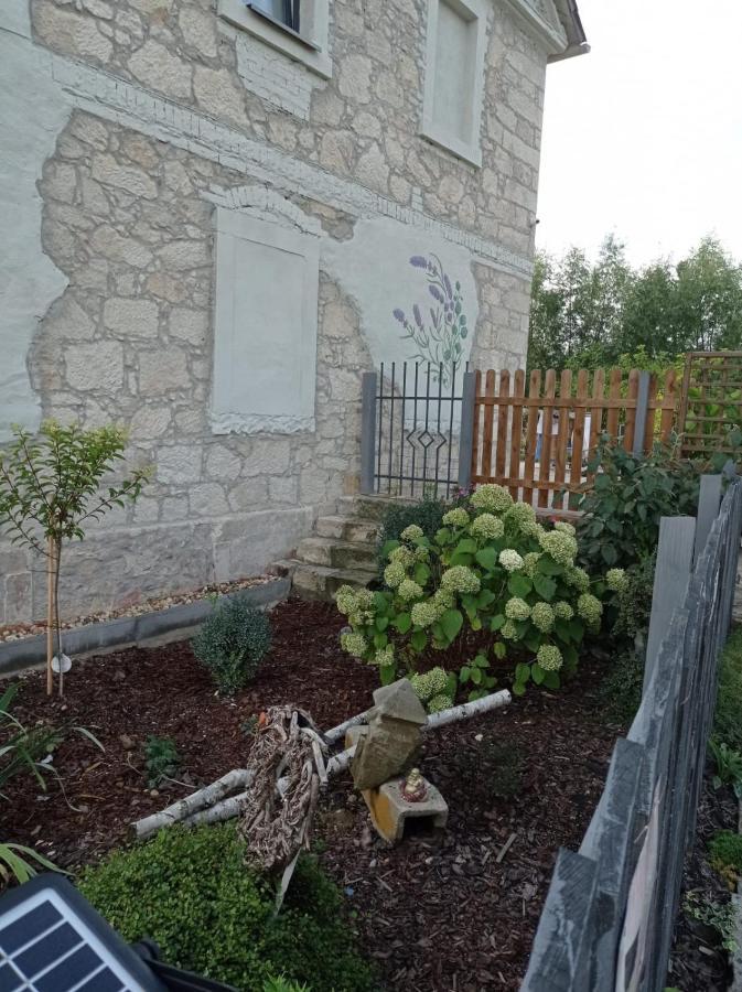 Villa Dom Mili à Henrykow Lubanski Extérieur photo
